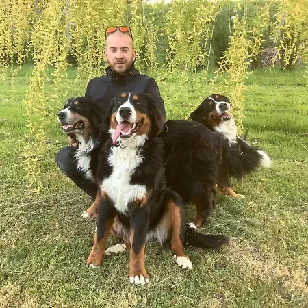 Affittacamere La Maison Du Bonheur