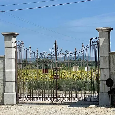 La Maison Du Bonheur
